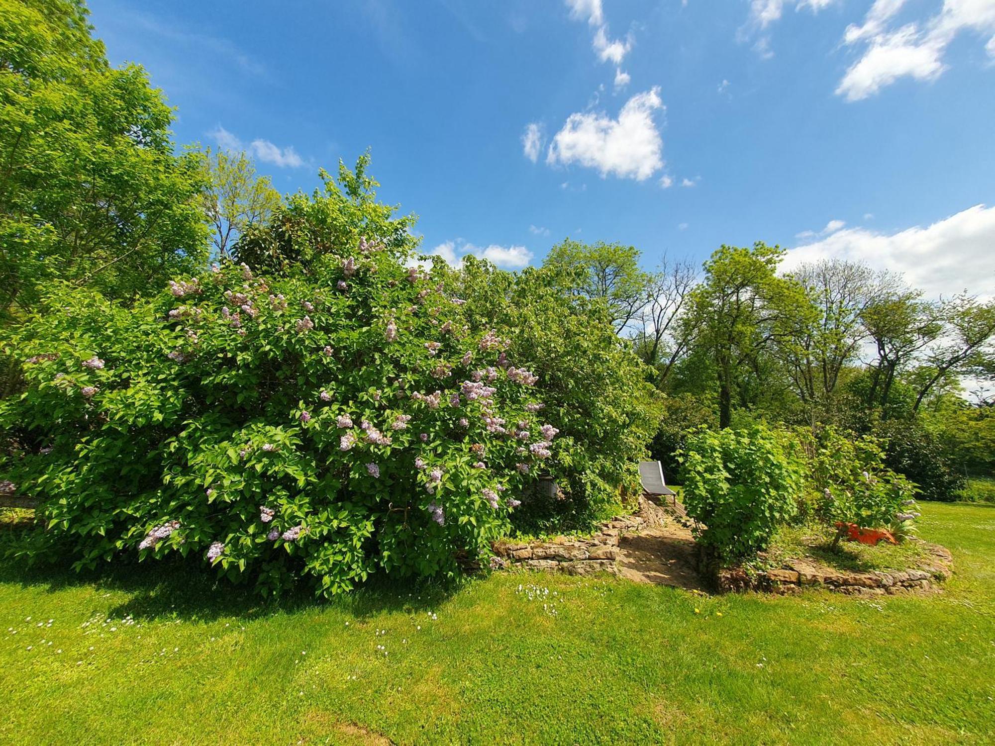 Bed and Breakfast Jardin Des Sens, La Rente D'Eguilly Экстерьер фото